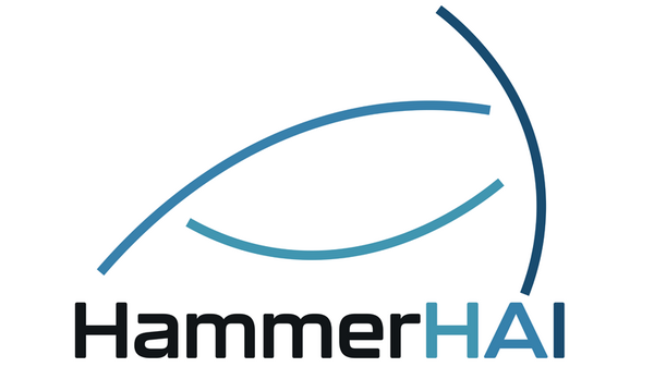 HammerHAI logo, with three lines resembling a hammerhead shark